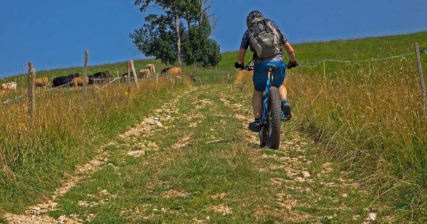 Dieta roślinna a zdrowie: Korzyści i wyzwania wegetariańskiej i wegańskiej diety